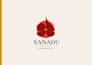 logo design and brand visual identity
